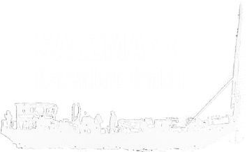 Logo Salzmann