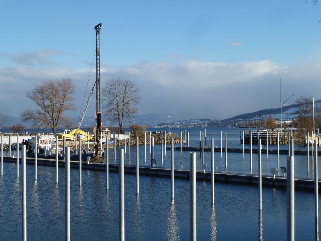 Pfähle am Bodensee